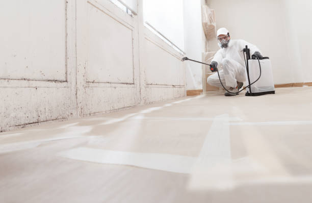 24/7 Emergency Black Mold Remediation experts in Oakland, OR